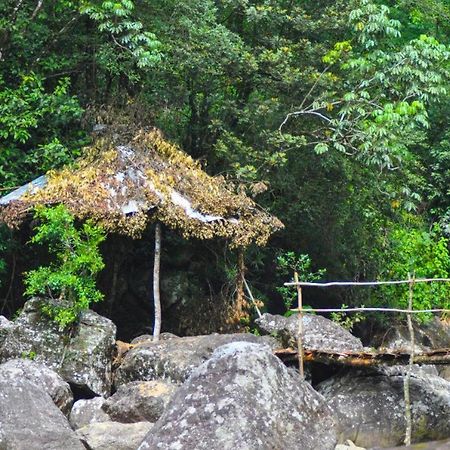 Jungle Tree House Rangala Bed and Breakfast Κάντι Εξωτερικό φωτογραφία