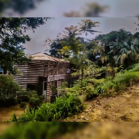 Jungle Tree House Rangala Bed and Breakfast Κάντι Εξωτερικό φωτογραφία